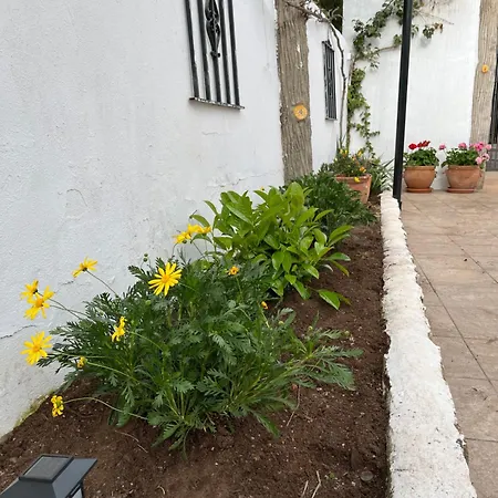 Casa Rural Abuelo Raimundo Ossa de Montiel Exterior photo