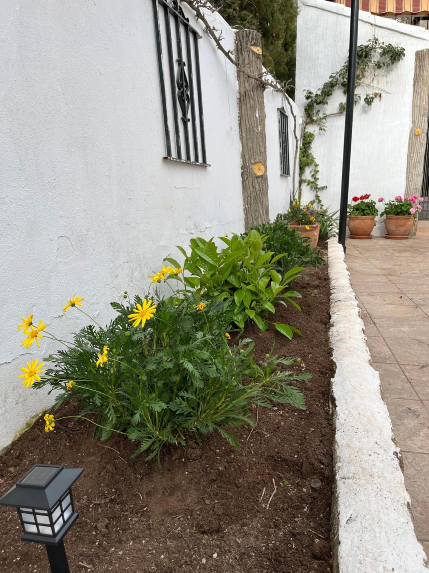 Abuelo Raimundo Ossa de Montiel